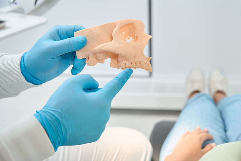 dentist showing model of jawbone loss